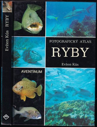 Fotografický atlas ryby