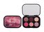 MAC Connect In Colour Oční stín Eye Shadow Palette 6,25 g Rose Lens pro ženy