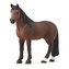 Wałach Tennessee Walker