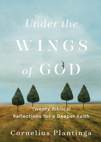 Under the Wings of God - Twenty Biblical Reflections for a Deeper Faith