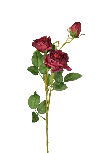 Růže bordó 70 cm