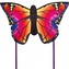 Invento drak Motýl duhový