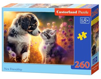 Puzzle 260 New Friendship CASTOR Puzzle 260 New Friendship CASTOR