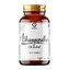 Ashwagandha extrakt KSM 66 - min.5% whitanolid kapsle 60 ks