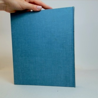 ...A znali jen kámen