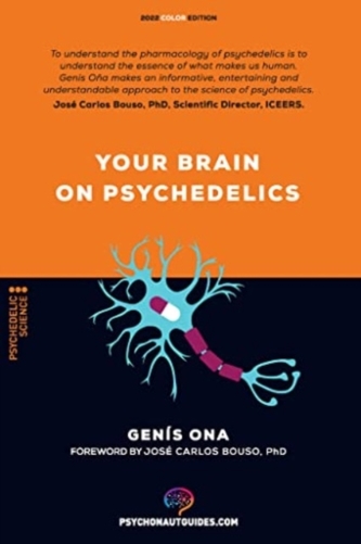 Your brain on psychedelics