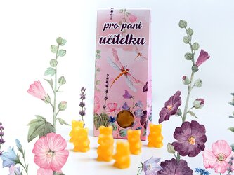 LIPOO PRO PANÍ UČITELKU