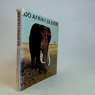 Do Afriky za zvěří