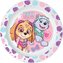 TALÍŘ PLASTOVÝ PAW PATROL, PRŮMĚR 22 CM, RŮŽOVÁ