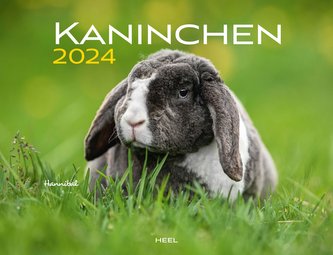 Kaninchen Eintragkalender 2024