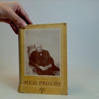 Mezi proudy III