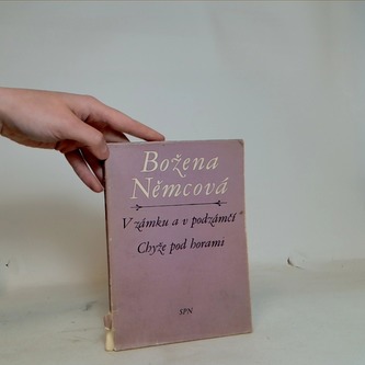 V zámku a v podzámčí, Chyže pod borami