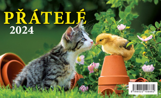 Kalendář 2024 Přátelé, stolní