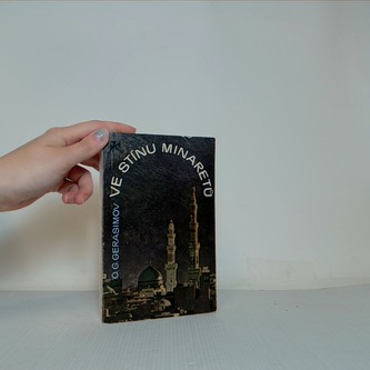 Ve stínu minaretů