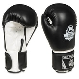 ARB-407A 12 OZ. BOXERSKÉ RUKAVICE DBX BUSHIDO