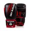Boxerské rukavice DBX BUSHIDO ARB-415 12 oz
