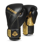 B-2v14 10 OZ BOXERSKÉ RUKAVICE DBX BUSHIDO