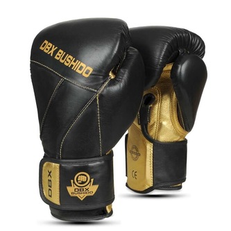 B-2v14 10 OZ BOXERSKÉ RUKAVICE DBX BUSHIDO