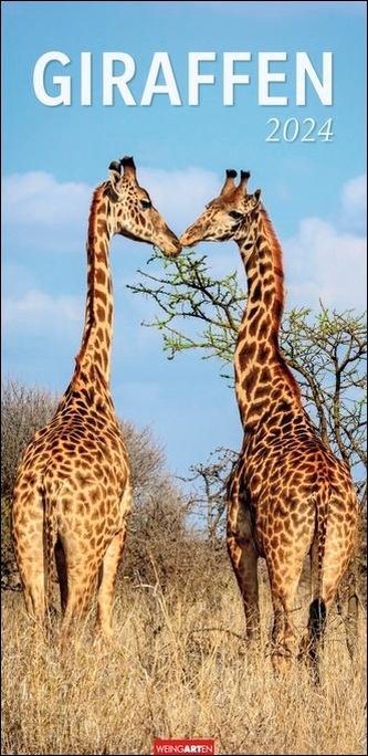 Giraffen Kalender 2024