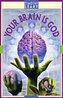 Your Brain Is God