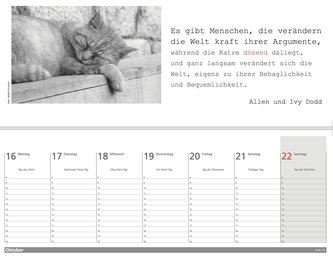 Der literarische Katzen Wochenplaner 2024