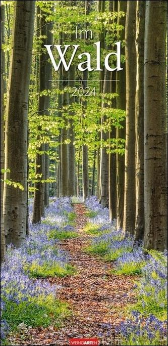 Im Wald Kalender 2024