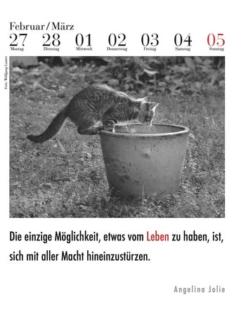 Der literarische Katzenkalender 2024