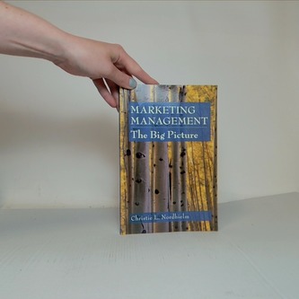 Marketing Management, The Big Picture