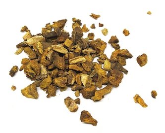 Reveň kořen - řez, balení 100 g
