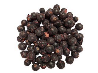 Černý rybíz sušený mrazem (lyofilizovaný), balení 100 g