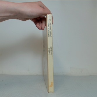 Pinocchiova dobrodružství