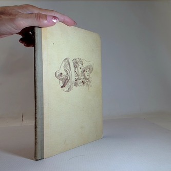 Dobrodružství mladých uprchlíků