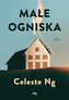 Małe ogniska