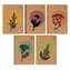 Zeszyt A5/80K linia By Nature - Herbs (10szt)