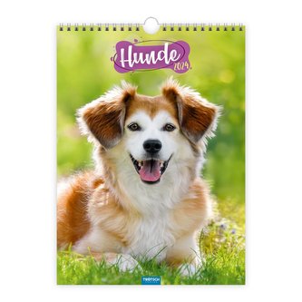 Trötsch Classickalender Hunde 2024
