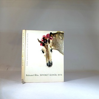 Divoký koník Ryn