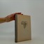 Afrika pod maskami