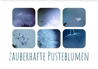 Zauberhafte Pusteblumen (Wandkalender 2022 DIN A2 quer)