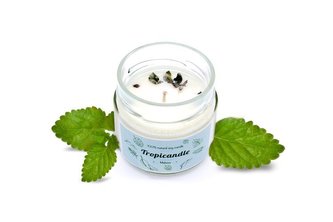 Tropikalia Tropicandle - Vanilla, caramel Tropikalia Tropicandle - Vanilla, caramel
