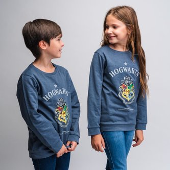 MIKINA HARRY POTTER - velikost 10