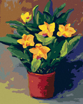 Malování podle čísel - NARCISY V KVĚTINÁČI - 40x50 cm, bez rámu a bez vypnutí plátna