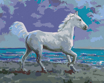 Malování podle čísel - BÍLÝ KŮŇ NA BŘEHU - 40x50 cm, bez rámu a bez vypnutí plátna