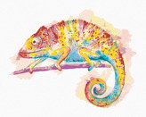Malování podle čísel - BAREVNÝ CHAMELEON NA BÍLÉM POZADÍ - 80x100 cm, bez rámu a bez vypnutí plátna