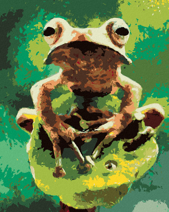 Malování podle čísel - ŽÁBA V LESE - 40x50 cm, vypnuté plátno na rám