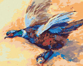 Malování podle čísel - BAREVNÝ BAŽANT - 40x50 cm, vypnuté plátno na rám