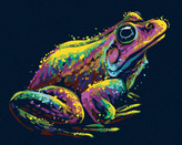 Malování podle čísel - BAREVNÁ ŽÁBA - 40x50 cm, vypnuté plátno na rám