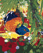 Malování podle čísel - PAPOUŠEK HLAVOU DOLŮ - 80x100 cm, vypnuté plátno na rám