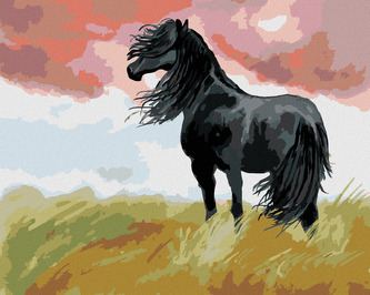 Malování podle čísel - ČERNÝ KŮŇ NA LOUCE - 80x100 cm, bez rámu a bez vypnutí plátna