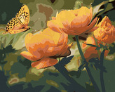 Malování podle čísel - MOTÝL A ORANŽOVĚ KVĚTINY - 40x50 cm, bez rámu a bez vypnutí plátna