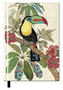 Note book NBA5A038 BUG ART KIUB